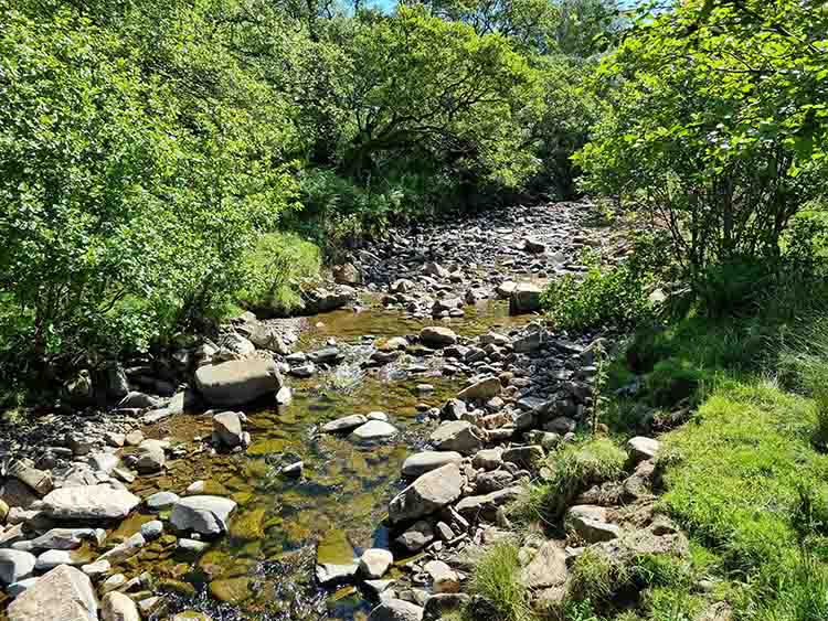 Old Water After The Old Water River Area After Works