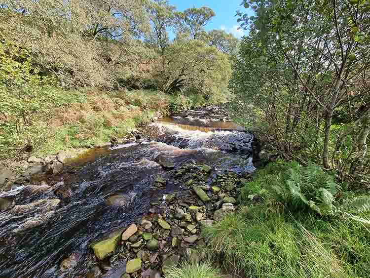 Old Water Before The Old Water River Area Before Works